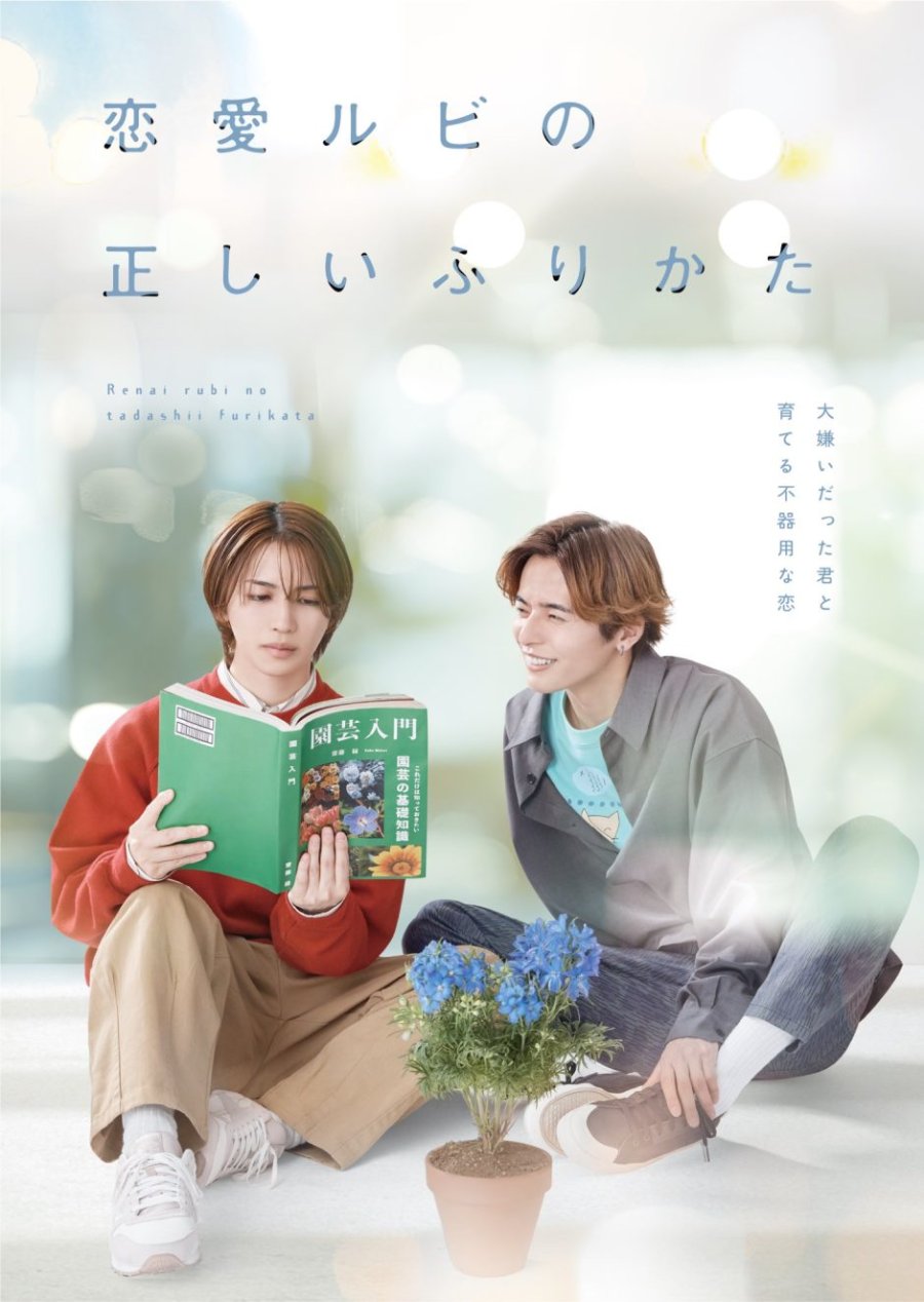 Renai Rubi no Tadashii Furikata - calendario.seriesboyslove.es